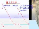 北师大初中数学九上《5.1.投影》PPT课件 (5)