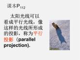北师大初中数学九上《5.1.投影》PPT课件 (6)
