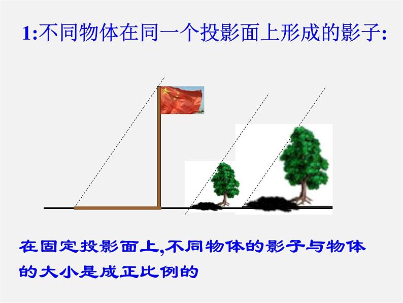 北师大初中数学九上《5.1.投影》PPT课件 (6)03