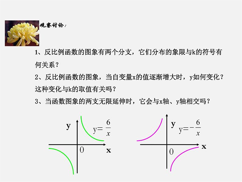 北师大初中数学九上《6.2 反比例函数的图象与性质》PPT课件 (6)第4页