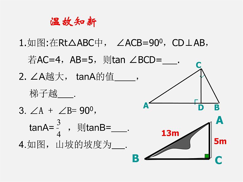 北师大初中数学九下《1.1锐角三角函数》PPT课件 (1)02