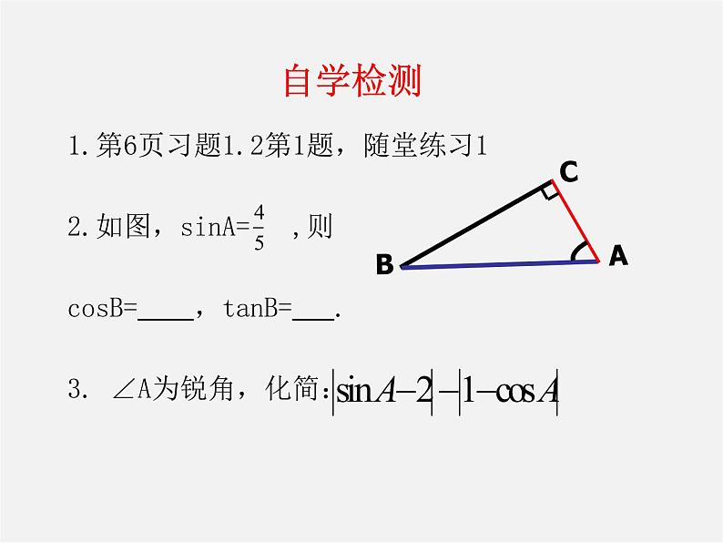 北师大初中数学九下《1.1锐角三角函数》PPT课件 (1)05