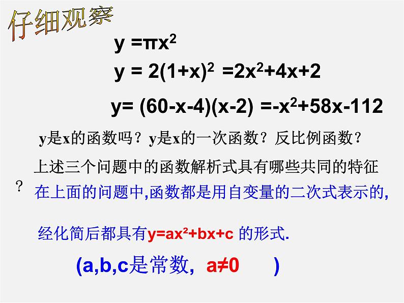 北师大初中数学九下《2.1二次函数》PPT课件第4页