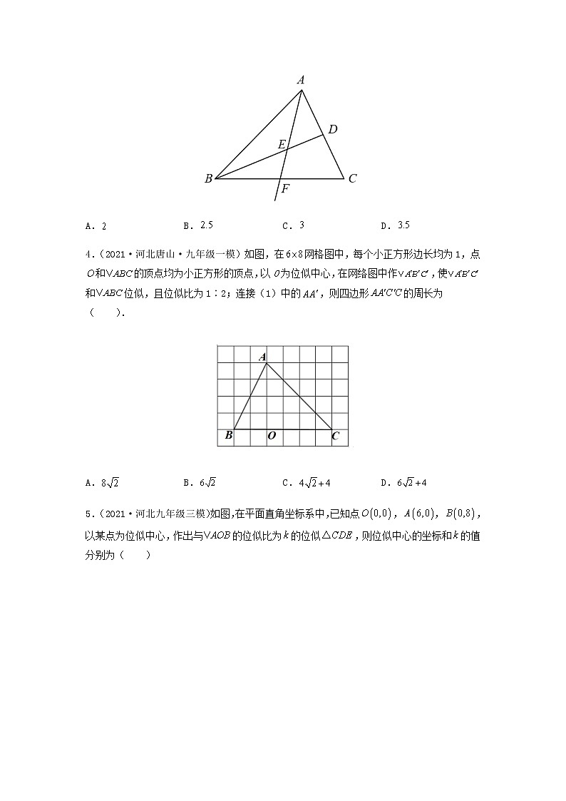 模板13 相似形（原卷版）第2页