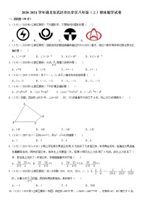 2020-2021学年湖北省武汉市江岸区八年级（上）期末数学试卷