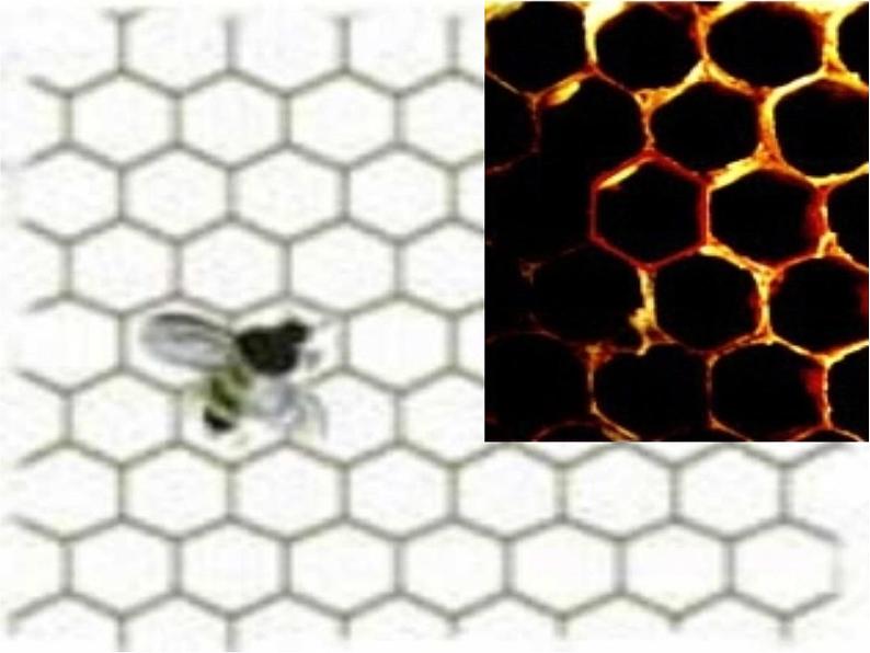 初中数学人教版八年级上册第11章 三角形 镶嵌课件02