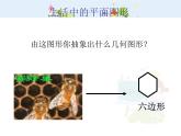 初中数学人教版八年级上册11.3.1多边形课件