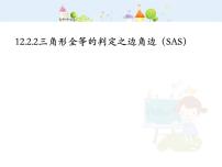 初中数学人教版八年级上册12.2 三角形全等的判定课前预习ppt课件