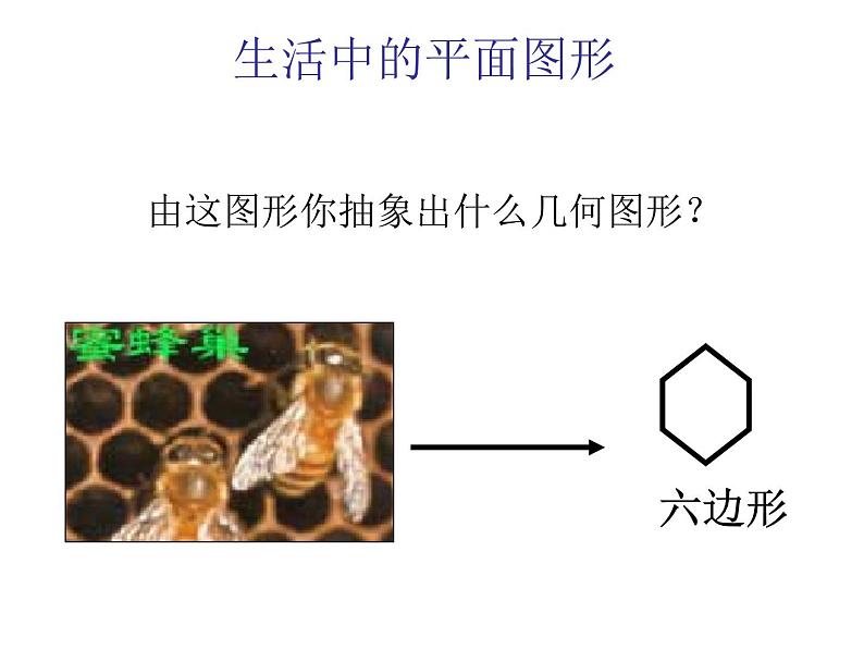 初中数学人教版八年级上册11.3.1 多边形2课件第8页