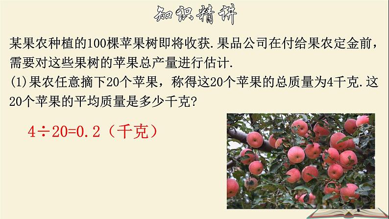 3.1 平均数-2021-2022学年八年级数学下册教学课件(浙教版)04