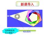 27.3《位似》课件