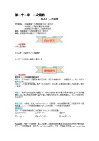 初中人教版22.1.1 二次函数导学案