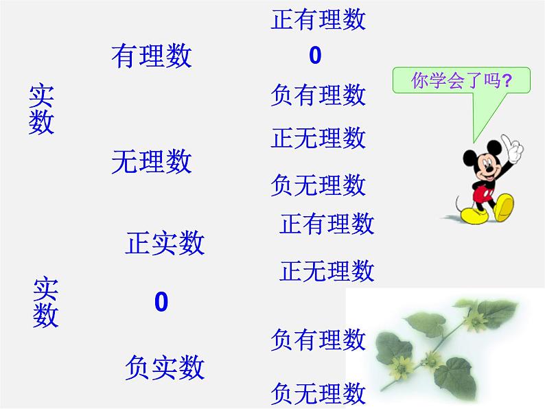 浙教初中数学七上《3.2 实数》PPT课件 (5)06