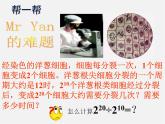 浙教初中數(shù)學(xué)七下《3.6 同底數(shù)冪的除法》PPT課件 (8)