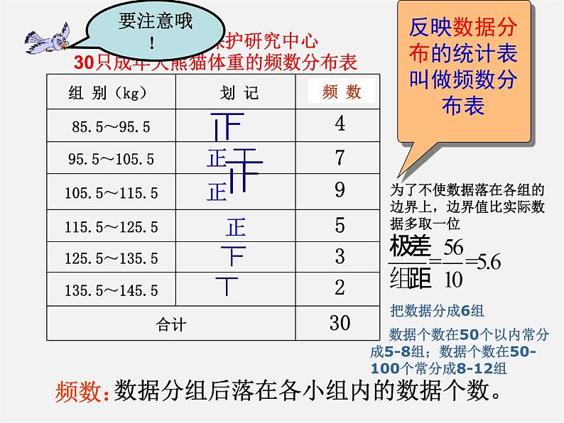 浙教初中数学七下《6.4 频数与频率》PPT课件 (4)第4页
