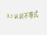 浙教初中數(shù)學(xué)八上《3.1認(rèn)識(shí)不等式》PPT課件 (3)