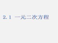 数学八年级下册2.1 一元二次方程示范课课件ppt