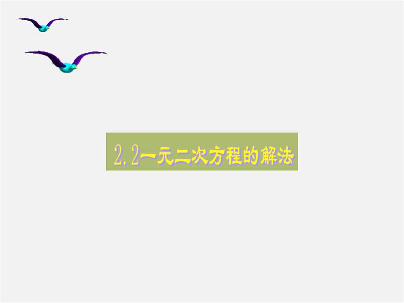 浙教初中数学八下《2.2 一元二次方程的解法》PPT课件 (9)01