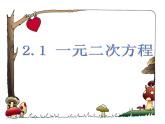 浙教初中数学八下《2.1 一元二次方程》PPT课件 (11)
