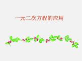 浙教初中数学八下《2.3 一元二次方程的应用》PPT课件 (17)