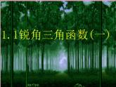 浙教初中数学九下《1.1 锐角三角函数》PPT课件 (7)