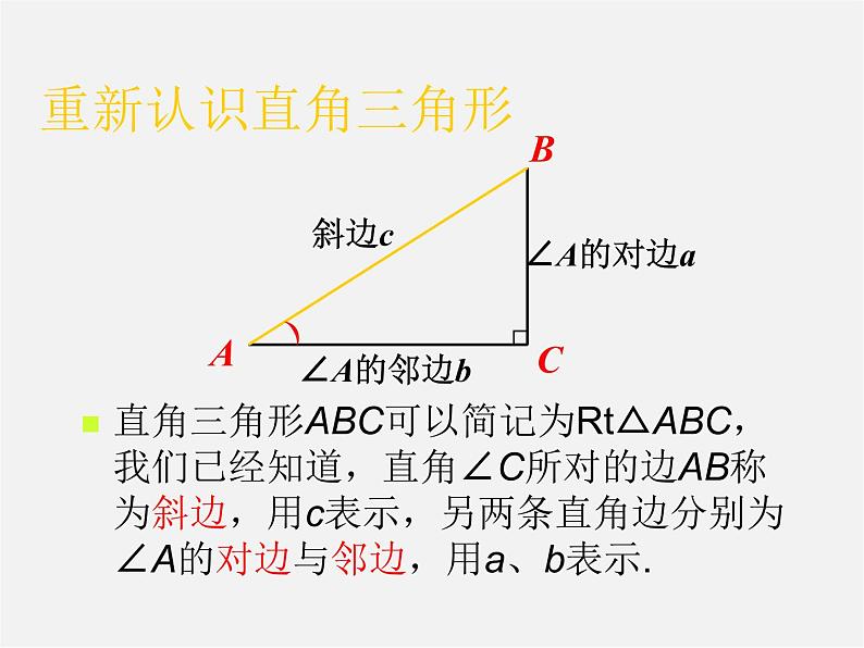 浙教初中数学九下《1.1 锐角三角函数》PPT课件 (7)第3页