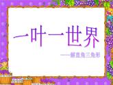 浙教初中数学九下《1.3 解直角三角形》PPT课件 (2)