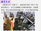 浙教初中数学九下《3.1 投影》PPT课件 (2)