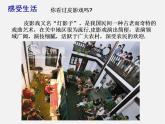 浙教初中数学九下《3.1 投影》PPT课件 (8)