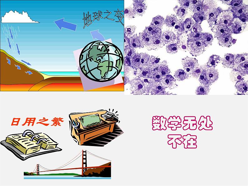 苏科初中数学七上《1.1 生活 数学》PPT课件 (8)第4页