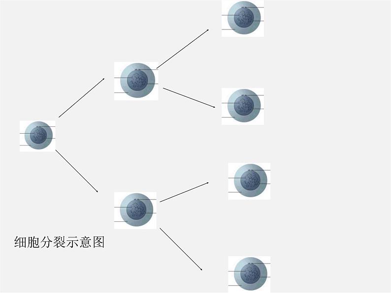 苏科初中数学七上《2.7 有理数的乘方》PPT课件 (15)03