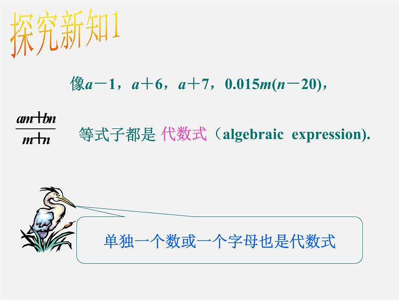 苏科初中数学七上《3.2 代数式》PPT课件 (14)05