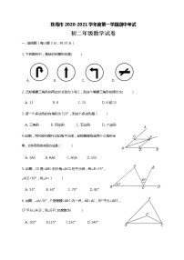 广东省珠海市2020-2021学年八年级上期中数学试卷（含答案解析）新人教版