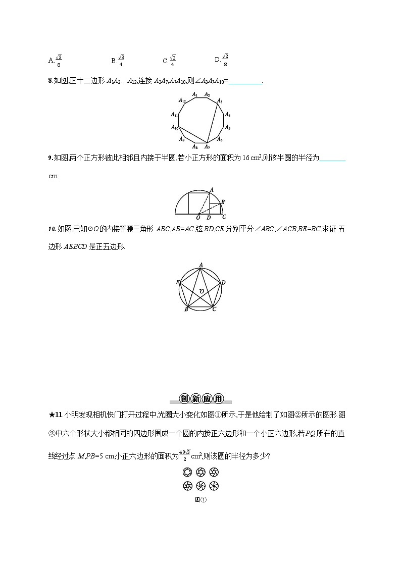 人教版九年级数学上册《24-3 正多边形和圆》作业同步练习题及参考答案第2页