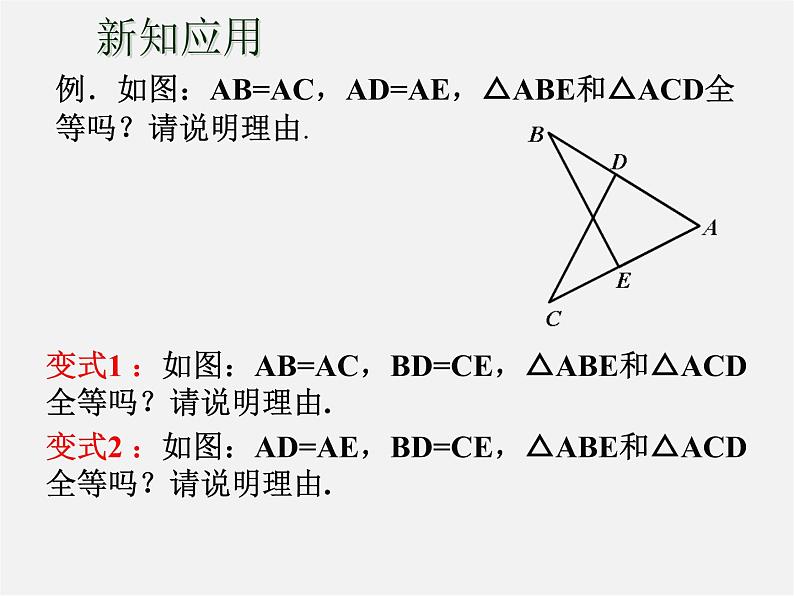 苏科初中数学八上《1.3 探索三角形全等的条件》PPT课件 (19)第3页