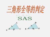 湘教版2.5 全等三角形授课课件ppt