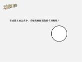 湘教初中數學九下《3.2 直棱柱、圓錐的側面展開圖 》PPT課件 (1)