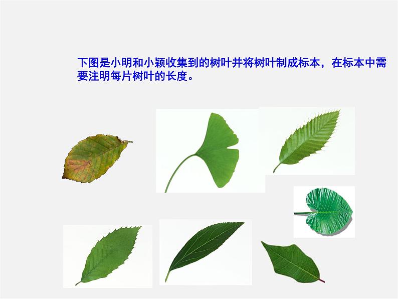 沪科初中数学七上《1.7 近似数》PPT课件 (1)03