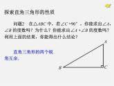 第9套人教初中數(shù)學(xué)八上 11.2 與三角形有關(guān)的角課件