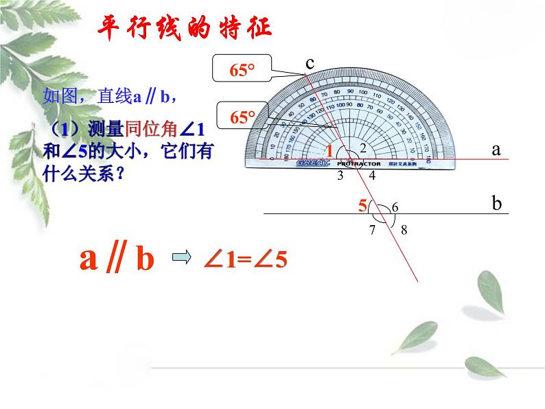 2021-2022学年度北师大版七年级数学下册课件 2.3 平行线的特征 1第3页