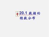沪科初中数学八下《20.1数据的频数分布》PPT课件 (1)