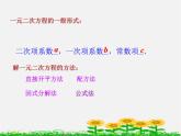 滬科初中數(shù)學(xué)八下《17.3一元二次方程的根的判別式》PPT課件 (3)