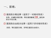 概率在遗传学中的应用PPT课件免费下载