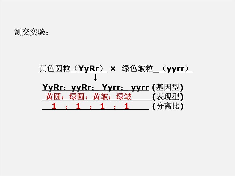 沪科初中数学九下《26.4 概率在遗传学中的应用》PPT课件第5页