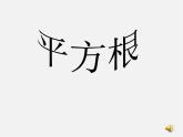 冀教初中数学八上《14.1平方根》PPT课件 (2)