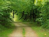 冀教初中数学八上《14.1平方根》PPT课件 (3)