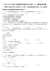 2020-2021学年广东省深圳市南山区七年级（上）期末数学试卷