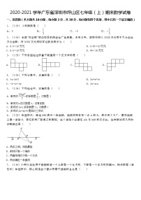 2020-2021学年广东省深圳市坪山区七年级（上）期末数学试卷