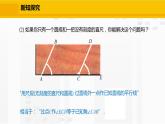 北师大版数学七年级下册课件2.4 用尺规作角