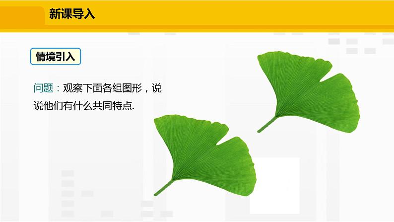 北师大版数学七年级下册课件4.2 图形的全等第3页